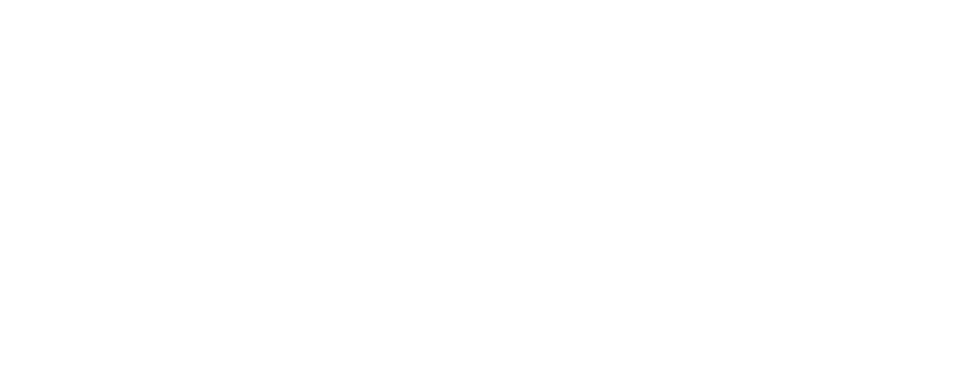 Vinordic logga liggande VIT